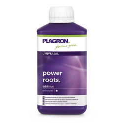 POWER ROOTS