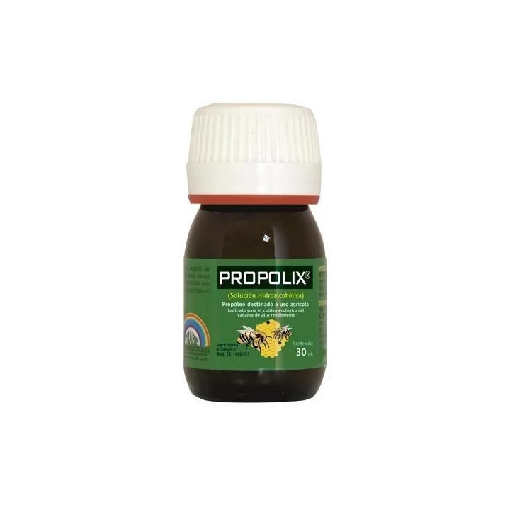  Propolix 【Trabe】