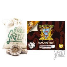  Dark Devil Auto【Sweet Seeds Autofloreciente】