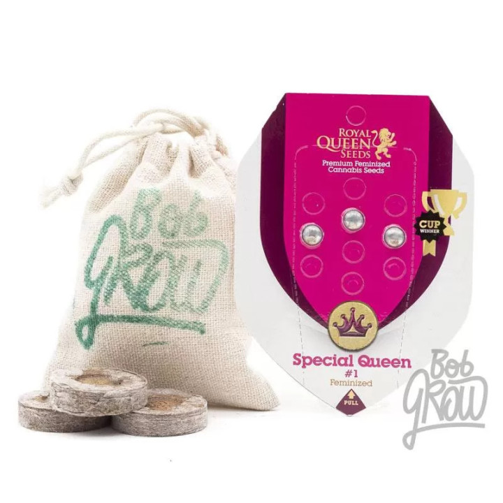 Special Queen #1 FeminizadaRoyal Queen Seeds
