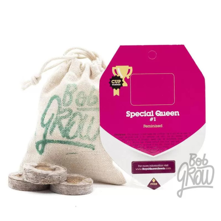 Special Queen #1 FeminizadaRoyal Queen Seeds