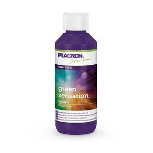 GREEN SENSATION Plagron