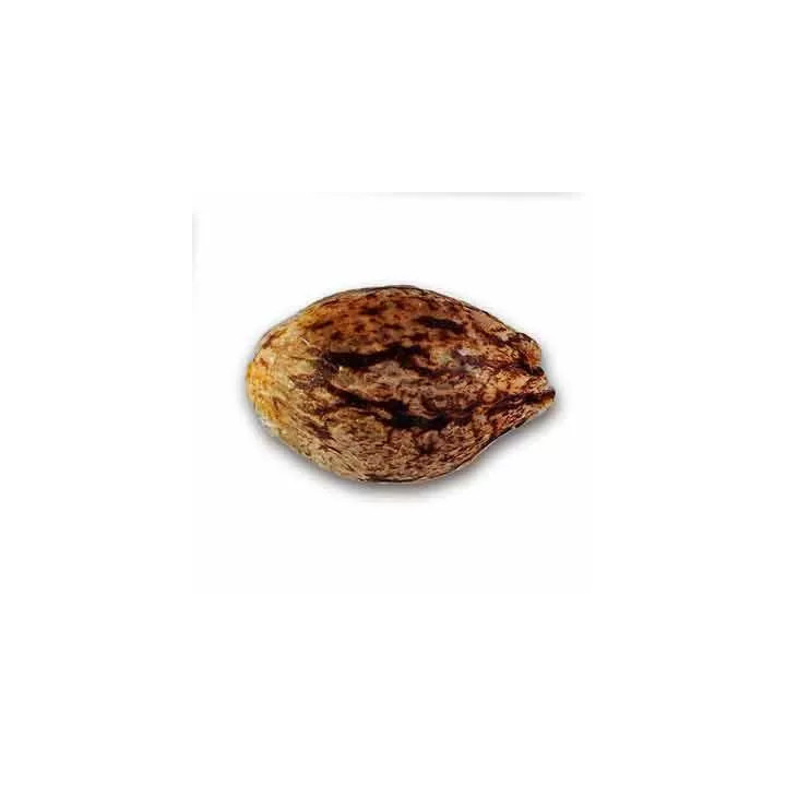 Deep Mandarine CBD FeminizadaDelicious Seeds