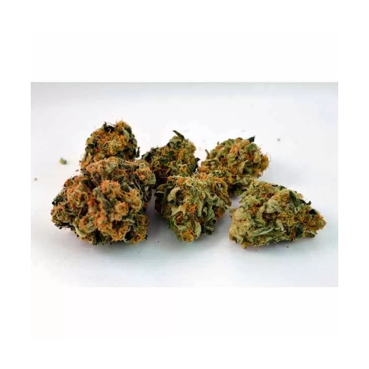 Durga Mata II CBD Feminizada Paradise Seeds