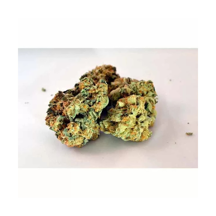 Durga Mata II CBD Feminizada Paradise Seeds