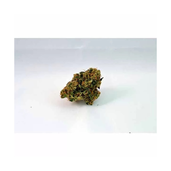 Nebula II CBD Feminizada 【Paradise Seeds】