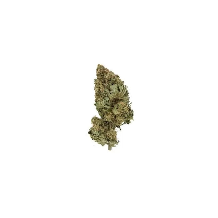  Pineapple Kush Feminizada【Royal Queen Seeds】