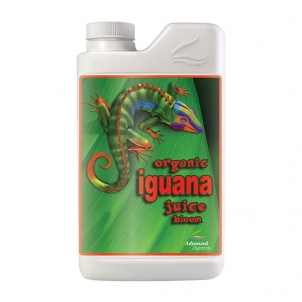 Organic iguana juice bloom