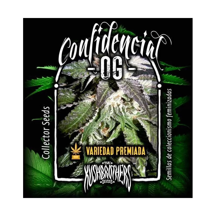 Confidencial OG Feminizada00 Seeds Bank