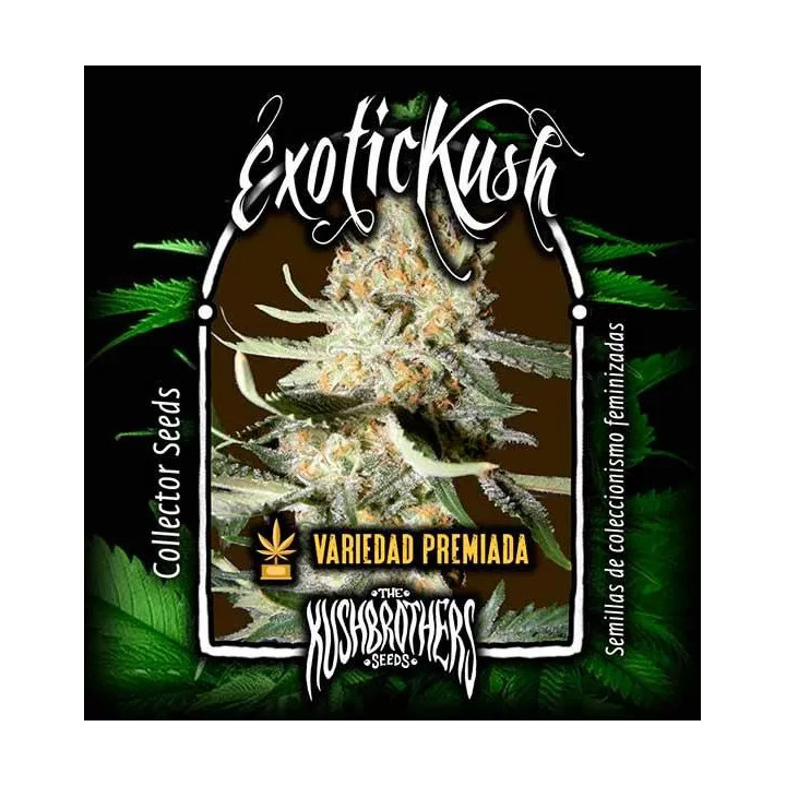 Exotic Kush Feminizada00 Seeds Bank