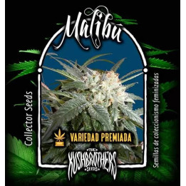 Malibu Feminizada00 Seeds Bank