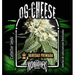 OG CHEESE