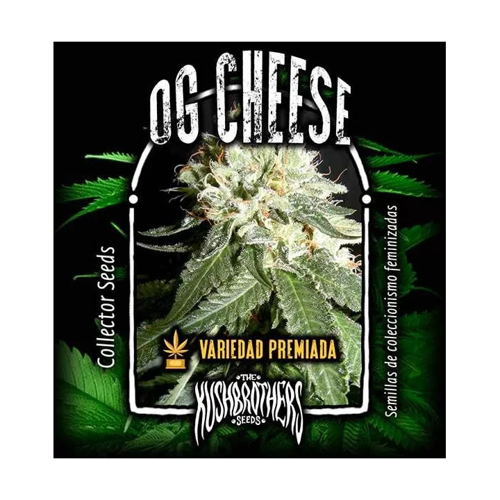 OG Cheese Feminizada00 Seeds Bank