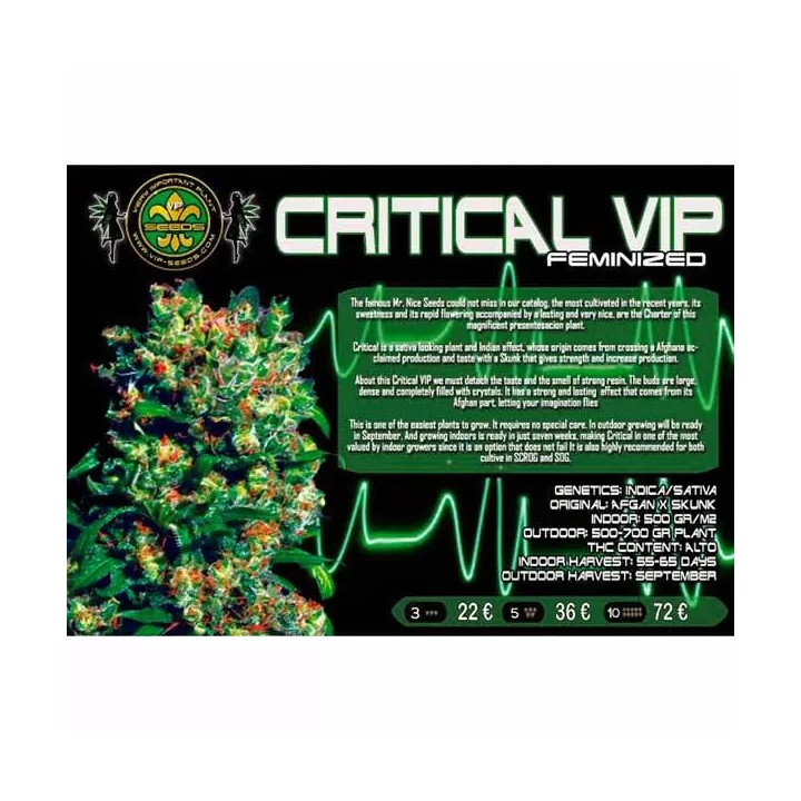 Critical VIP FeminizadaVip Seeds