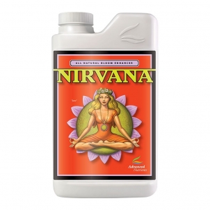 Nirvana