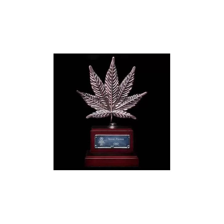 OG Kush CBD Feminizada Dinafem