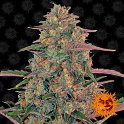 PINEAPPLE CHUNK