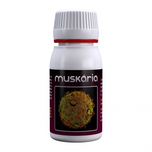 Muskaria
