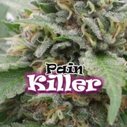 PAINKILLER