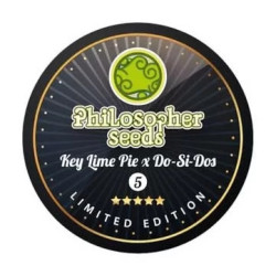 KEY LIME PIE X DO-SI-DOS