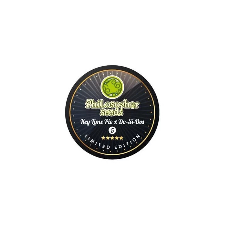Key Lime Pie x Do-Si-Dos Regular Philosopher Seeds