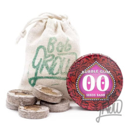 Bubble Gum Feminizada【00 Seeds Bank】