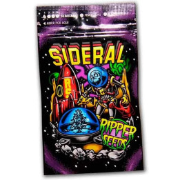  Sideral Feminizada【Ripper Seeds】