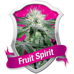 FRUIT SPIRIT