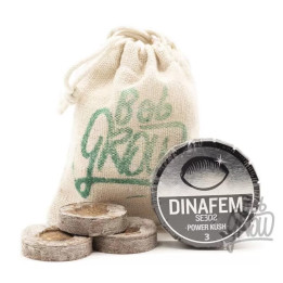 Power Kush Feminizada【Dinafem】