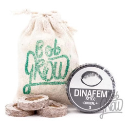  Critical + Feminizada【Dinafem】