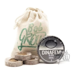 DIESEL