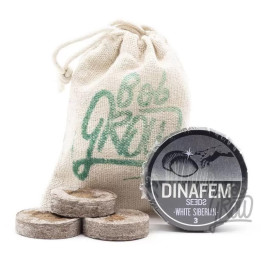  White Siberian Feminizada【Dinafem】