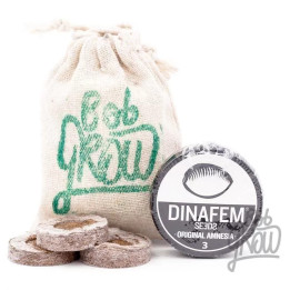  Original Amnesia Feminizada【Dinafem】