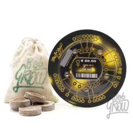 Pure Kush Feminizada 【Green House Seeds】