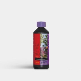 Coco Bloomstimulator