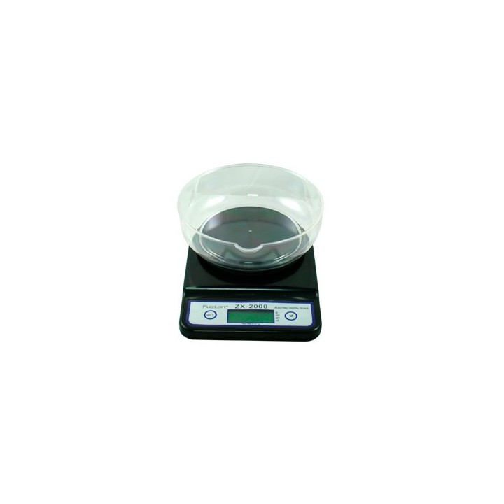 Báscula Zx 2000