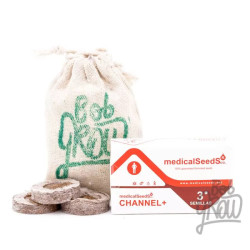 CHANNEL +