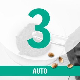 3 Semillas Auto Fem.
