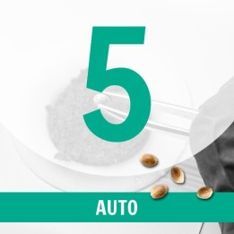 5 Semillas Auto Fem.
