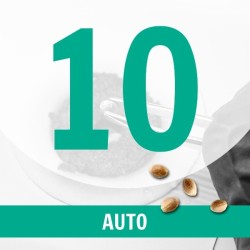 10 Semillas Auto Fem.