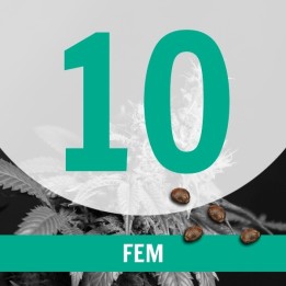 10 Semillas Temporada Fem.