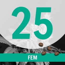 25 Semillas Temporada Fem.