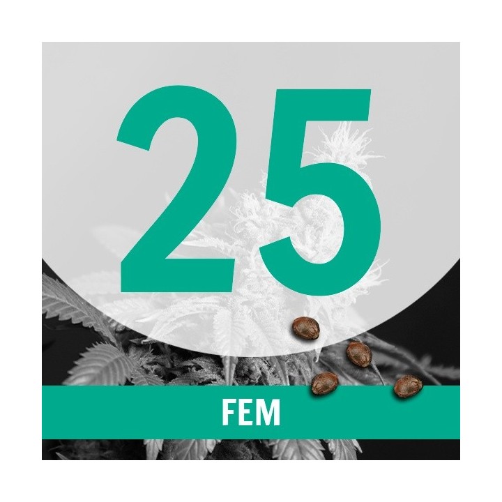 25 Semillas Temporada Fem.