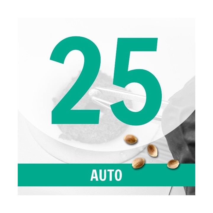 25 Semillas Auto Fem.