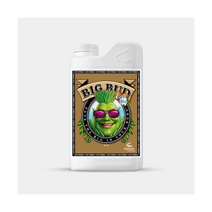 Big Bud Coco