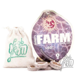  LSD Feminizada 【Barney's Farm】