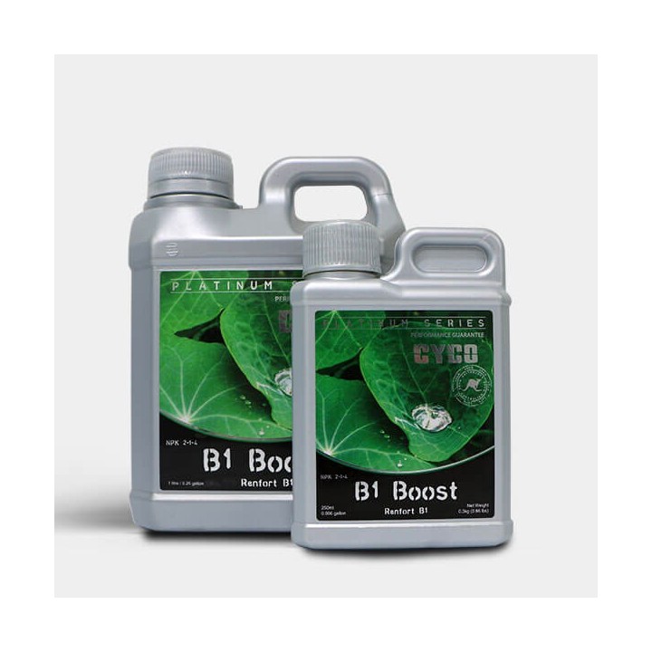 B1 Boost