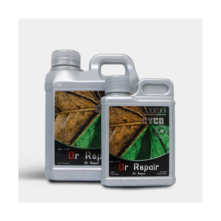 Dr Repair