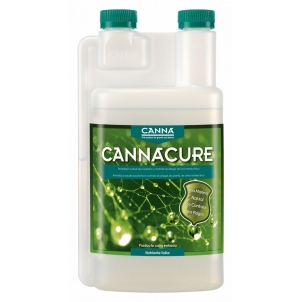 CannaCure