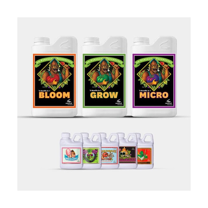AN Advanced Pack